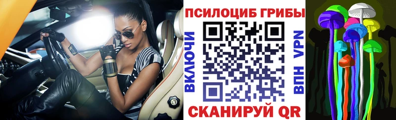 Галлюциногенные грибы мицелий  МЕГА зеркало  Чкаловск  хочу  